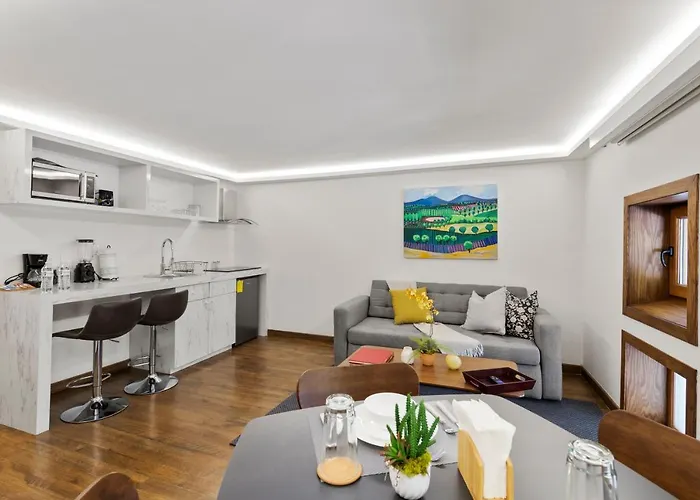 Casa Niza Apartment Mexico City